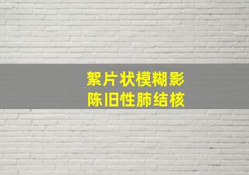 絮片状模糊影 陈旧性肺结核